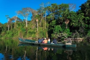 3-tägige Tour im Tambopata-Nationalreservat | Tierwelt des Amazonas
