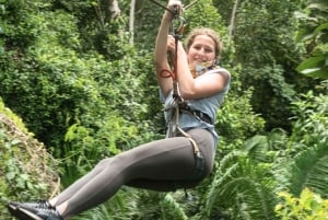 3-tägige Tour im Tambopata-Nationalreservat | Tierwelt des Amazonas