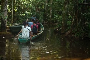 3-tägige Tour im Tambopata-Nationalreservat | Tierwelt des Amazonas