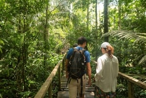 3-tägige Tour im Tambopata-Nationalreservat | Tierwelt des Amazonas