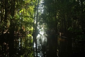 3-tägige Tour im Tambopata-Nationalreservat | Tierwelt des Amazonas