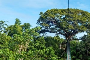 3-tägige Tour im Tambopata-Nationalreservat | Tierwelt des Amazonas