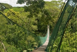 3-tägige Tour im Tambopata-Nationalreservat | Tierwelt des Amazonas