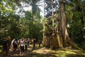 3-tägige Tour im Tambopata-Nationalreservat | Tierwelt des Amazonas