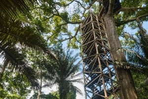 3-tägige Tour im Tambopata-Nationalreservat | Tierwelt des Amazonas