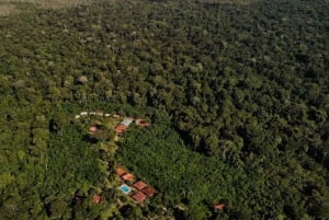 プエルト・マルドナド : アマゾン熱帯雨林アドベンチャー 4日間