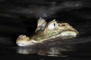 4-Day Exploration of the Manu Amazon – Departure from Cusco