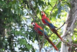 4-Day Exploration of the Manu Amazon – Departure from Cusco