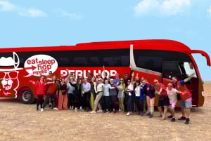 4 Días desde Lima: Vuelo Líneas de Nazca, Paracas y Huacachina