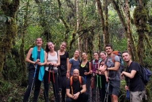 4 days/3 nights: Inka Jungle Trek to Machu Picchu