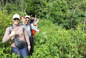 4 dage/3 nætter: Inka Jungle Trek til Machu Picchu