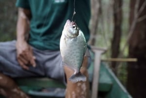 5-dagers Amazonas-jungelcamping-odyssé fra Iquitos