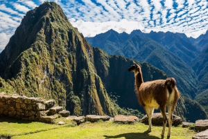 5-Tage Flash Peru: Lima, Cusco, Heiliges Tal & Machu Picchu