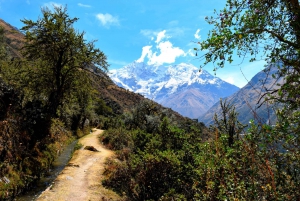 8 Day Cusco and Salkantay Trek to Machu Picchu