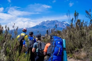 8-dagars vandring på Kilimanjaro Lemosho-rutten