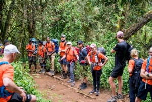 8-dagars vandring på Kilimanjaro Lemosho-rutten