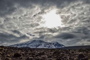 8-dagars vandring på Kilimanjaro Lemosho-rutten