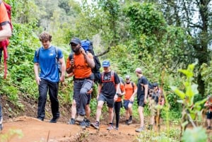 8-dagars vandring på Kilimanjaro Lemosho-rutten