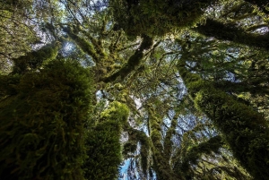 Abancay: Guidet tur til nasjonalparken og Ampay