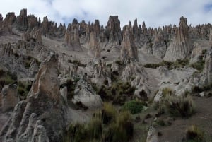 Día de Aventura en Arequipa: Catarata de Pillones + Bosque de Rocas