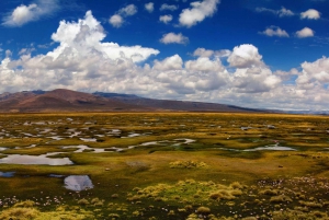 Día de Aventura en Arequipa: Catarata de Pillones + Bosque de Rocas