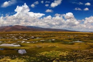 Adventure Day in Arequipa: Pillones Waterfall + Rock Forest