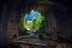 Adventure in the Dark - Owls' Cave & Santa Carmen Expedition