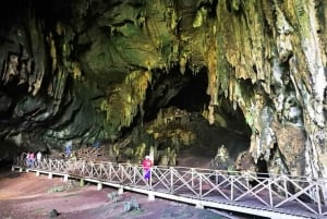 Adventure in the Dark - Owls' Cave & Santa Carmen Expedition