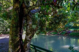 Adventure in the Dark - Owls' Cave & Santa Carmen Expedition