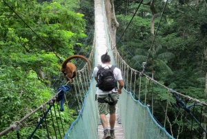 Adventure in the Jungle | Zipline, Canopy, Kayak|