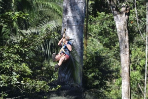 Adventure in the Jungle | Zipline, Canopy, Kayak|