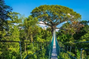 Adventure in the Jungle | Zipline, Canopy, Kayak|