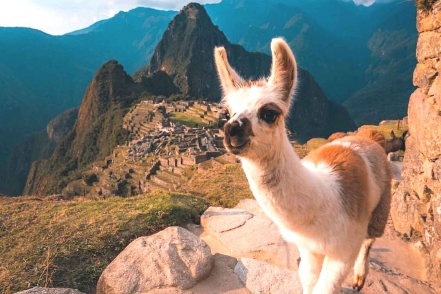 Aguas Calientes: Machu Picchu Ticket, Bus, and Private Guide