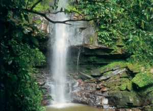 Ahuashiyacu Waterfall