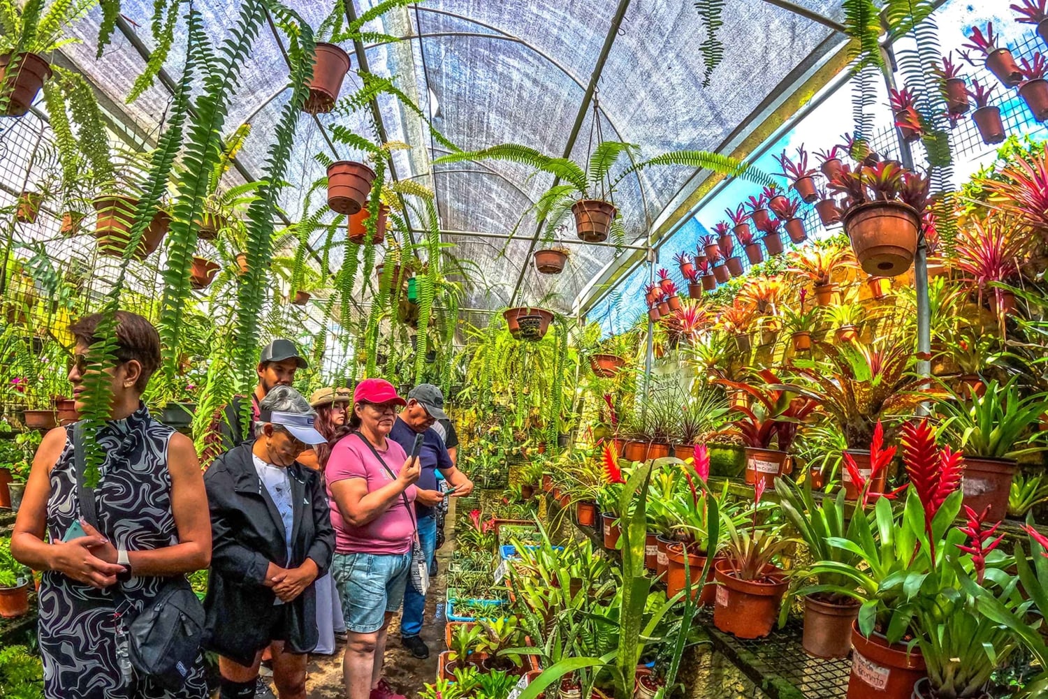 Visitez Alto Mayo à Tarapoto, découvrez la ville des orchidées
