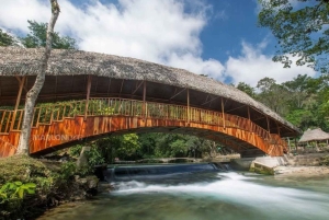 Visitez Alto Mayo à Tarapoto, découvrez la ville des orchidées