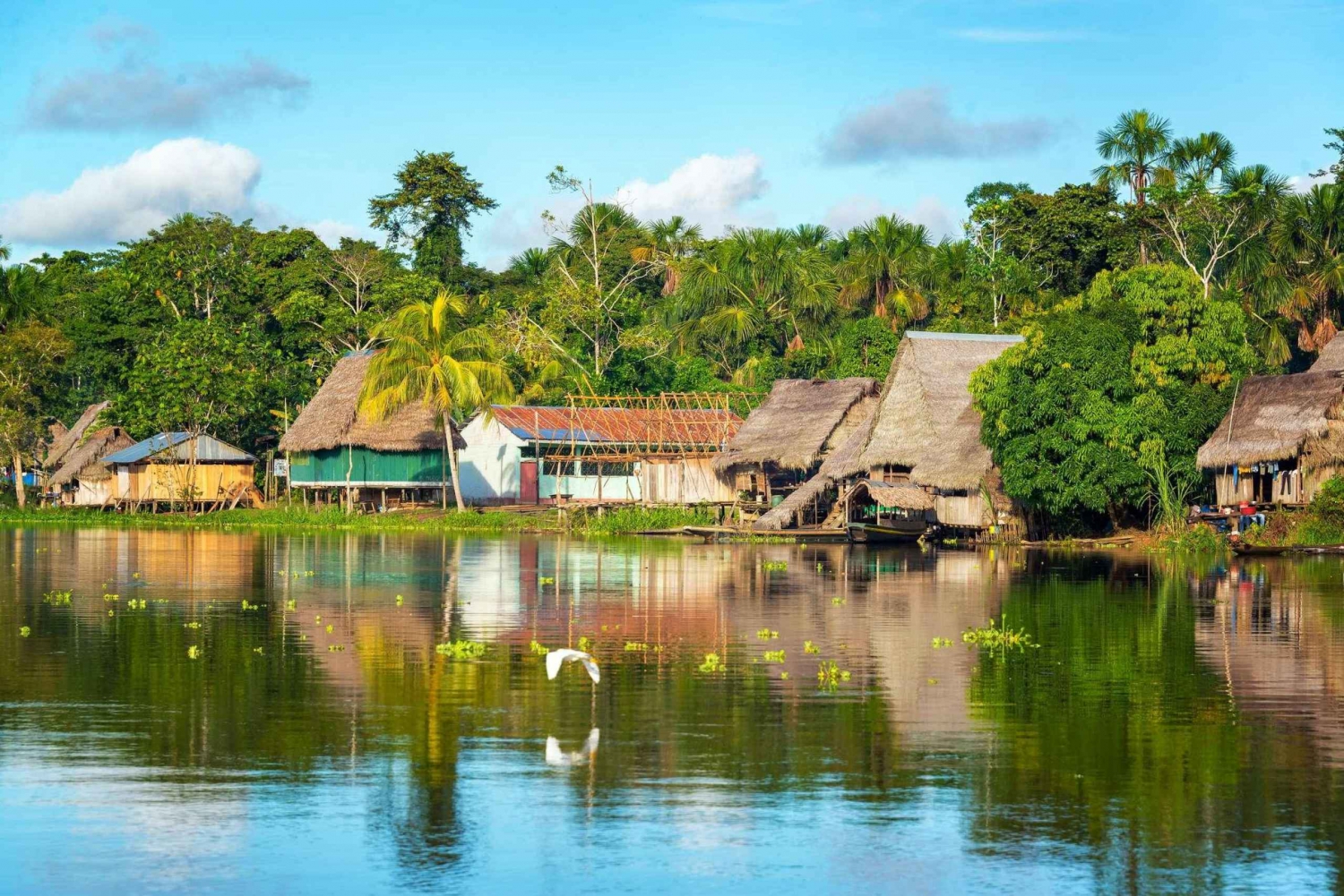 Tour de 2 dias na Amazônia