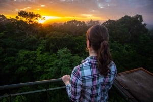 Iquitos | Amazon Tour | 4D/3N in Amazon Rainforest Jungle