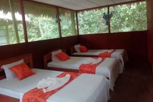 Iquitos: Amazon Lodge och djungelupplevelse | 2 dagar