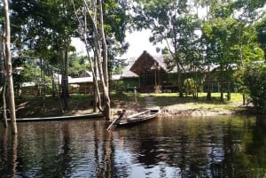 Iquitos: Amazon Lodge och djungelupplevelse | 2 dagar