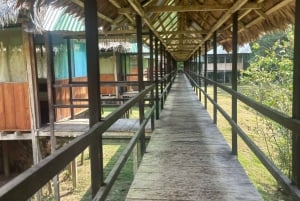 Iquitos: Amazon Lodge och djungelupplevelse | 2 dagar