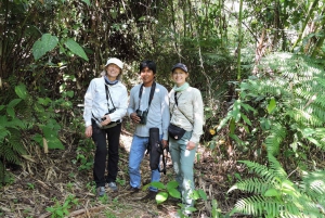 Aventura na Amazônia de 3 dias: Explorando a selva a partir de Cusco