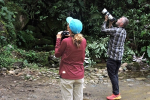 Aventura na Amazônia de 3 dias: Explorando a selva a partir de Cusco
