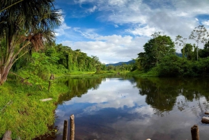 3 dagers eventyr i Amazonas: Utforsk jungelen fra Cusco