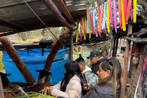 Andenroute: Tänze, Kultur und Aussichtspunkte von Cusco