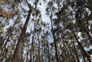 Andenroute: Tänze, Kultur und Aussichtspunkte von Cusco