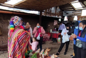 Andean Route: Dances, Culture, and Viewpoints of Cusco