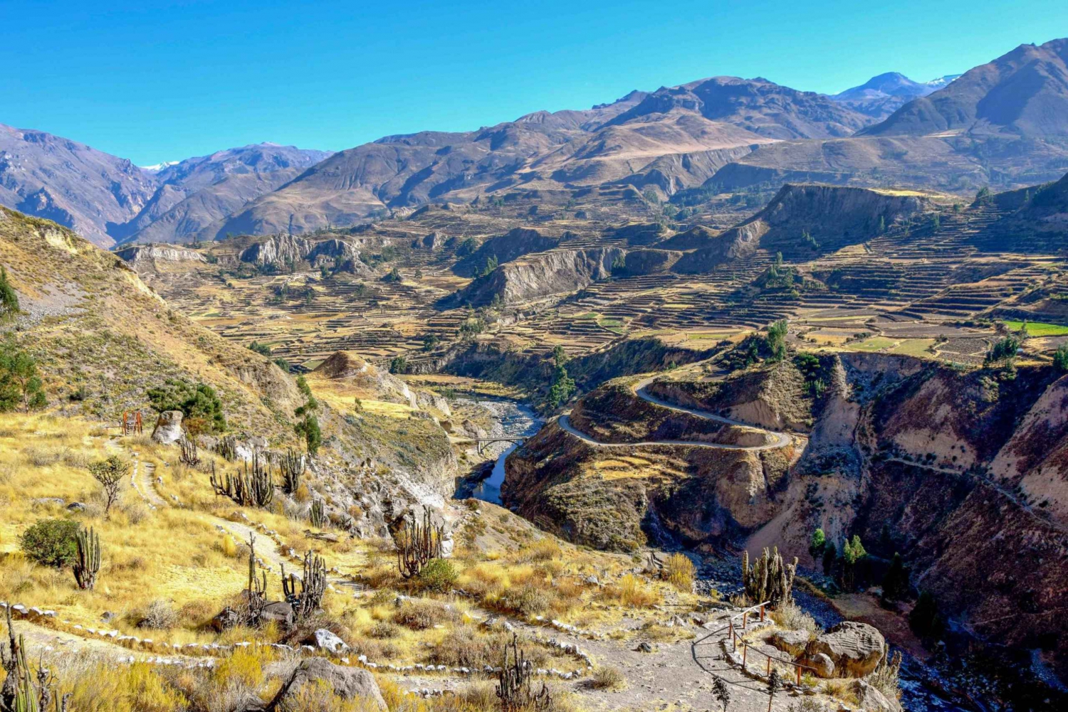 Andes: Colca Canyon Day-Trip