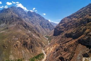 Depuis Arequipa : journée dans le canyon de Colca