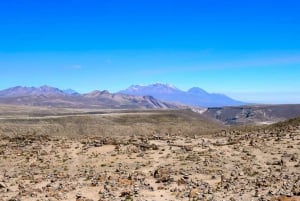 Andesfjellene: Colca Canyon dagstur